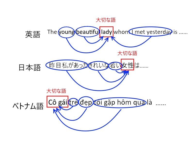 ベトナム語の語順 言葉を修飾 説明していく方法を学んだ
